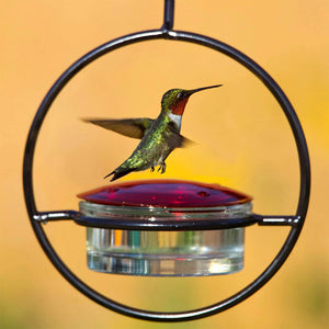 Einfacher Kolibri-Wasserspender aus Metall