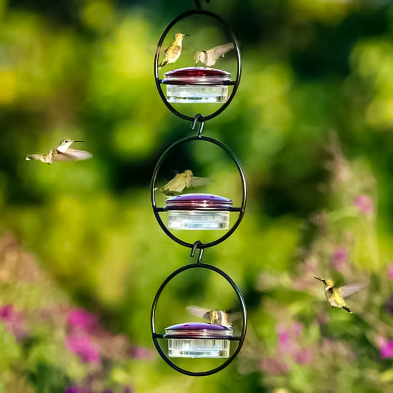 Einfacher Kolibri-Wasserspender aus Metall